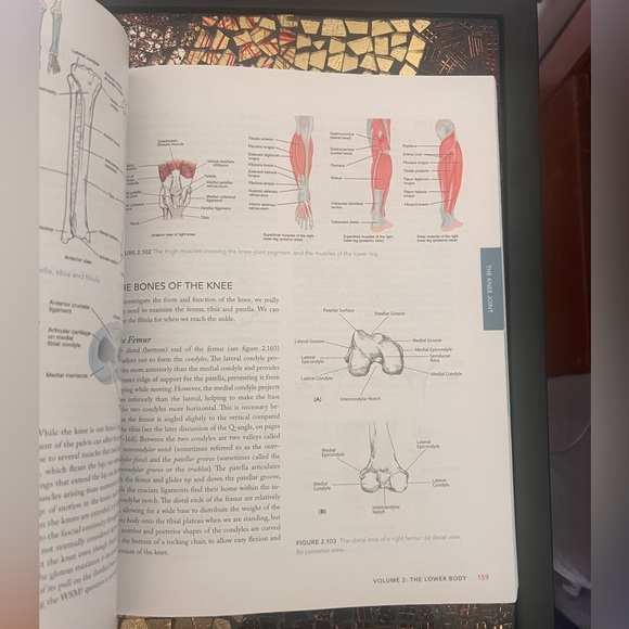 Your Body Your Yoga Book by Bernie Clark - Picture 6 of 6